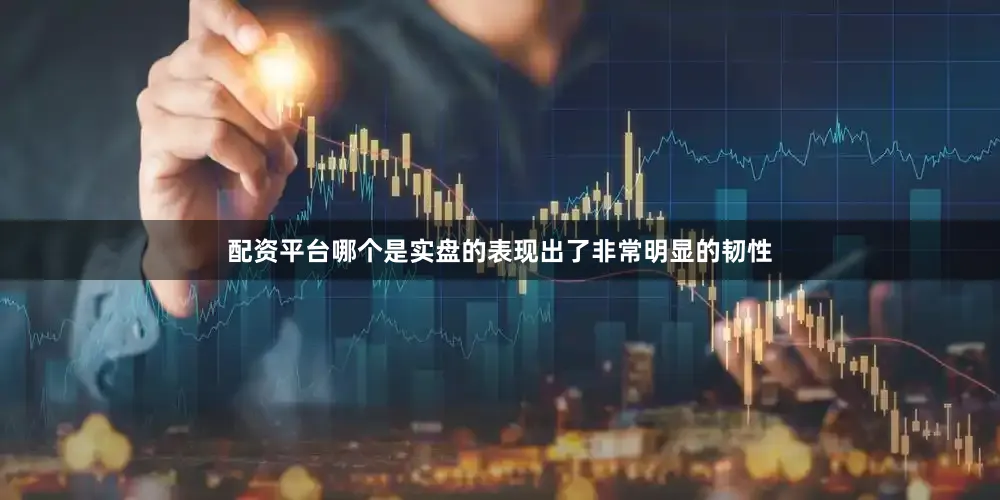配资平台哪个是实盘的表现出了非常明显的韧性